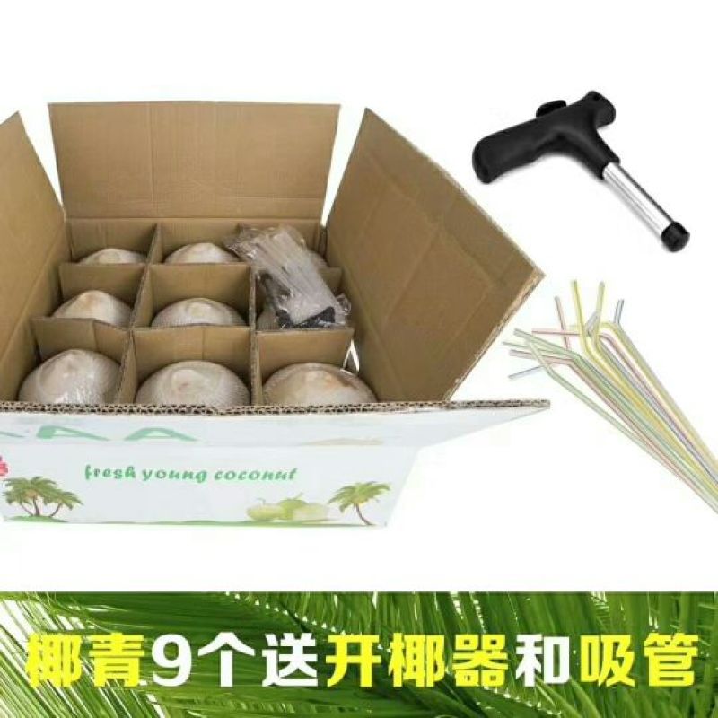 椰青海南椰青。一箱9个装51，50箱起