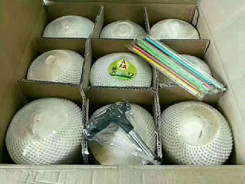 椰青海南椰青。一箱9个装51，50箱起