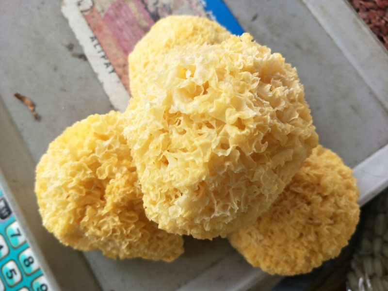 丑耳银耳特级糯古田丑耳新鲜干货散装包邮