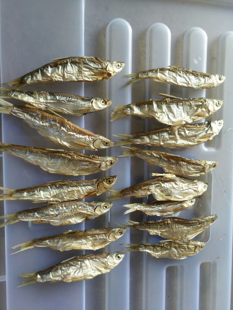 鱼干烤鱼干