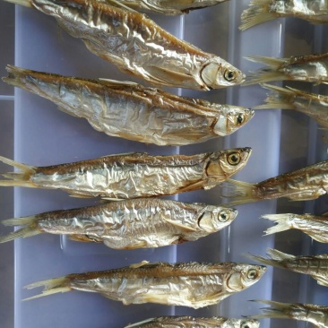 鱼干烤鱼干