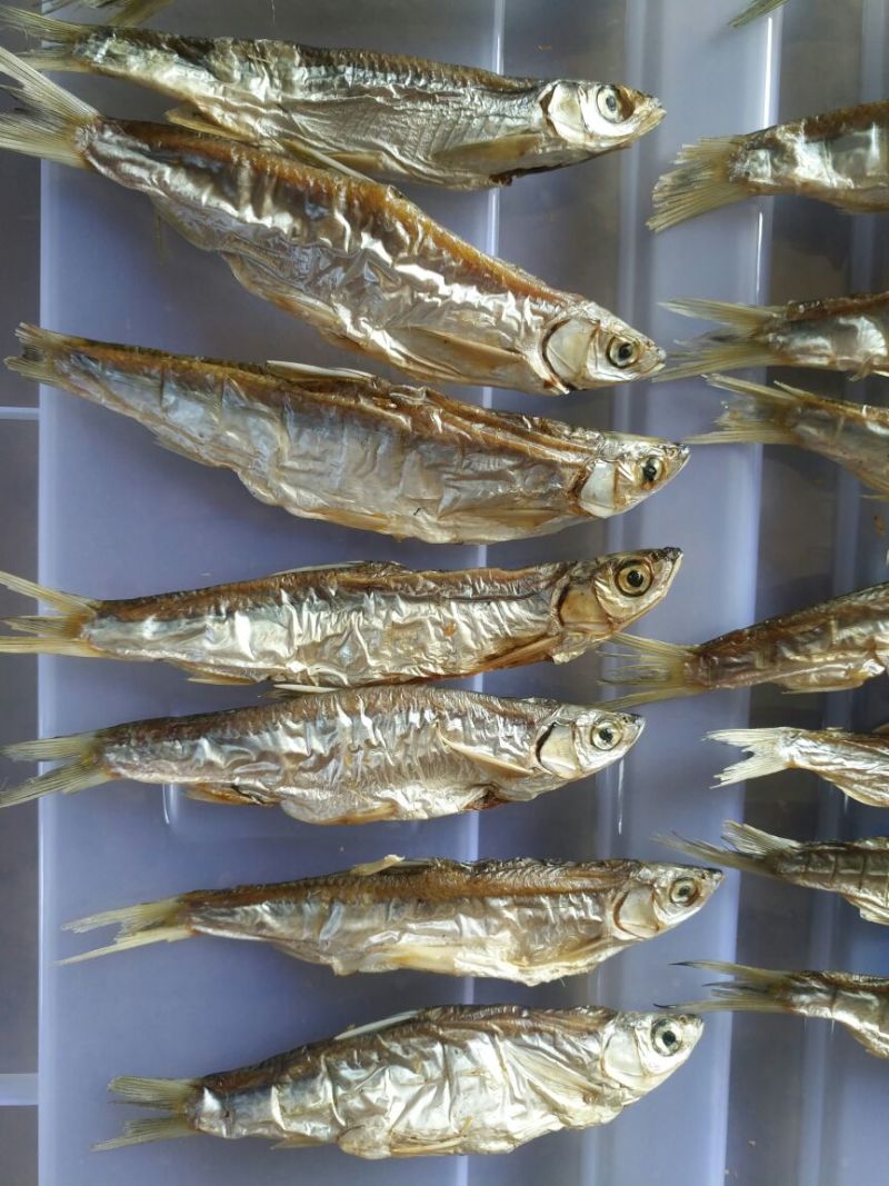 鱼干烤鱼干