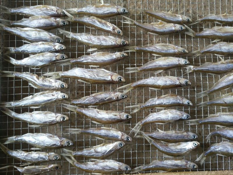 餐条鱼干日晒鱼干
