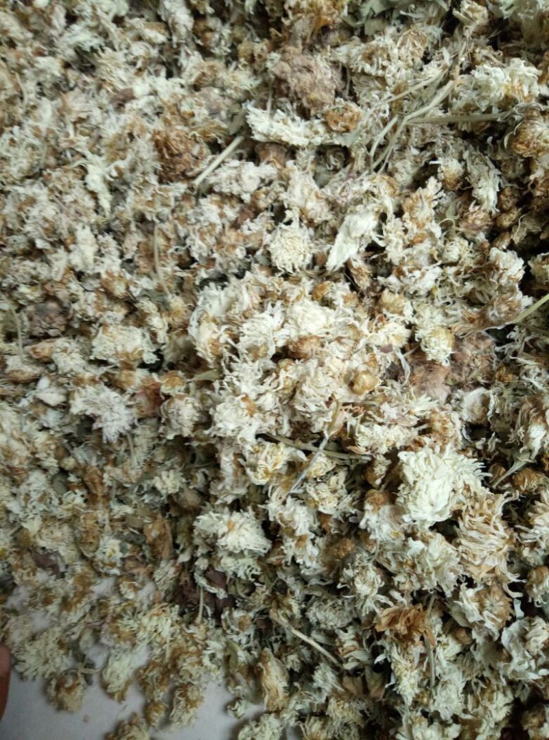 怀菊花散装