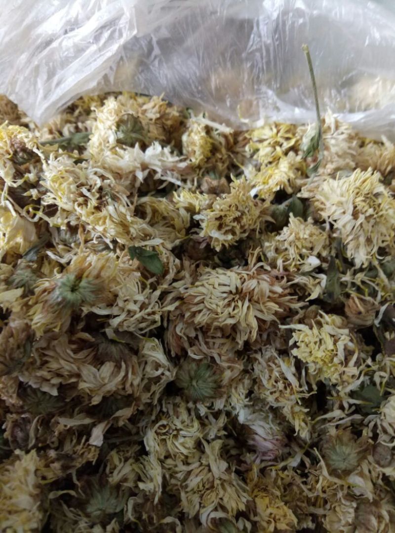 怀菊花散装