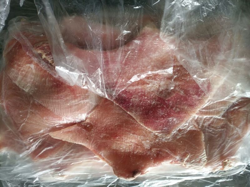 鳐鱼0.7~1公斤/尾食用
