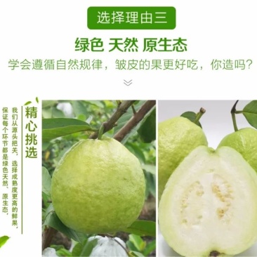 福建热带水果白心番石榴（芭乐）全部都是山上