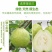 福建热带水果白心番石榴（芭乐）全部都是山上