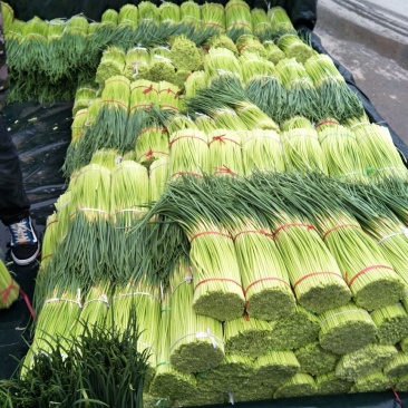 【推荐】精品蒜薹支持超市，市场批发，精加工！一件代发！