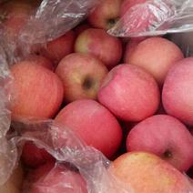 红富士苹果大量产地直销批发口感脆甜货源充足