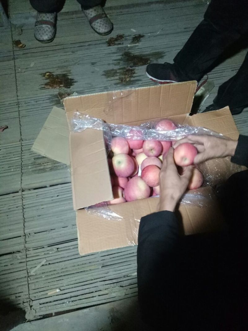 红富士苹果大量产地直销批发口感脆甜货源充足