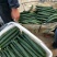 密刺黄瓜干花带刺22~25公分