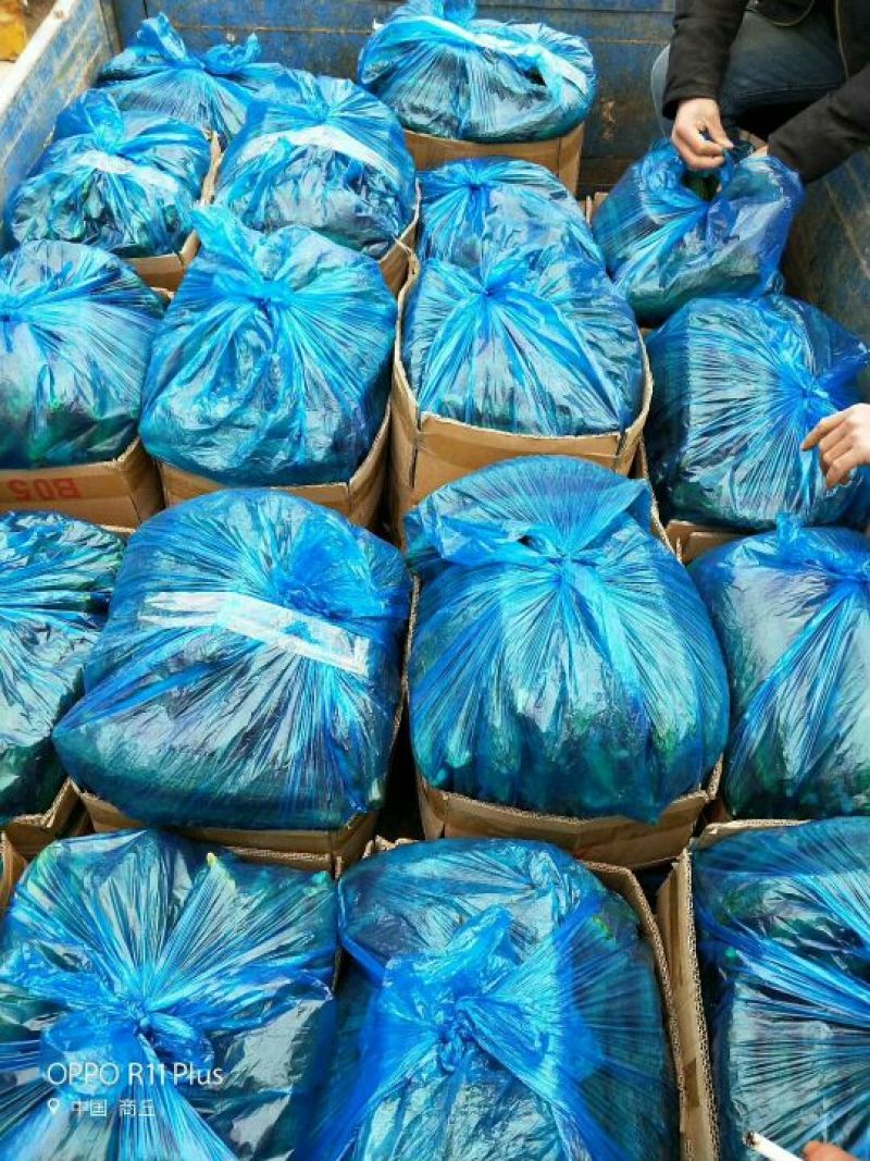 密刺黄瓜干花带刺22~25公分