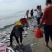 海鲈鱼鱼苗