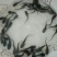 大口鲶鱼苗