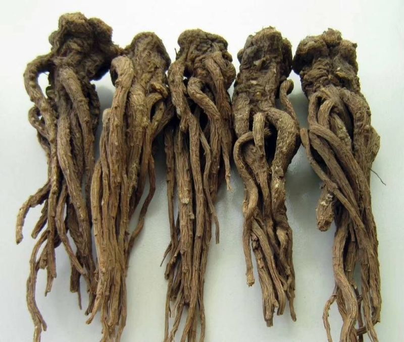 岷当归当归片，货真价实无硫货