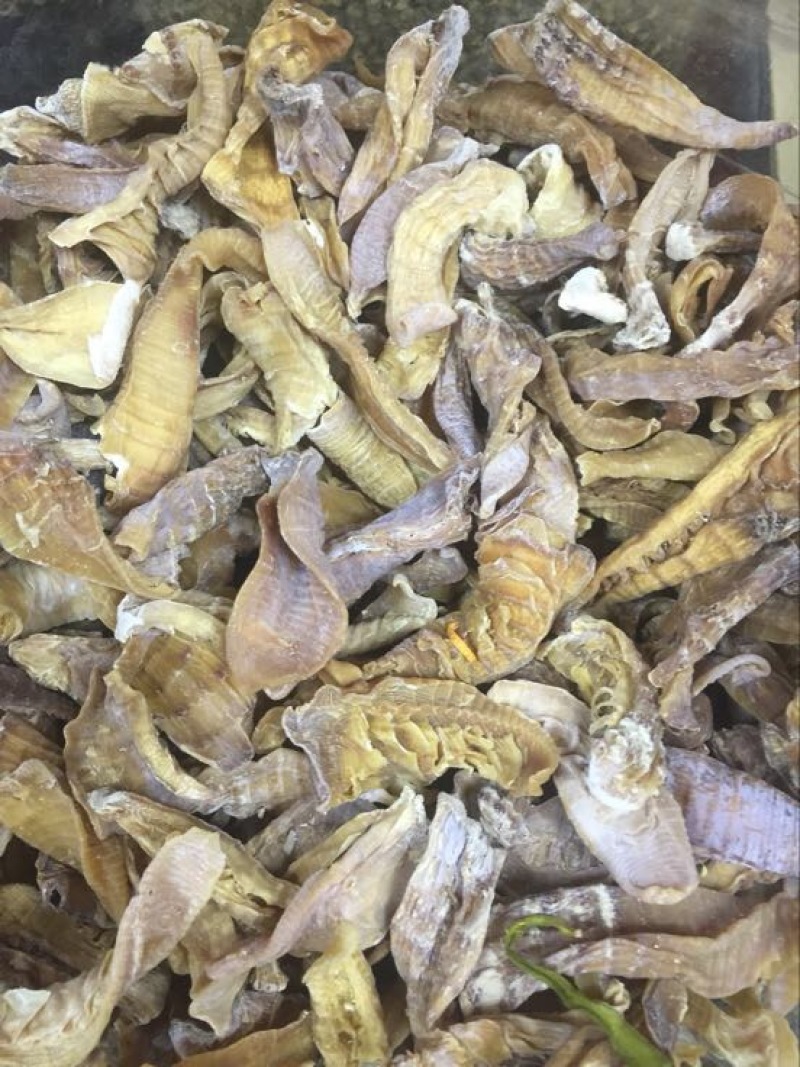 干笋