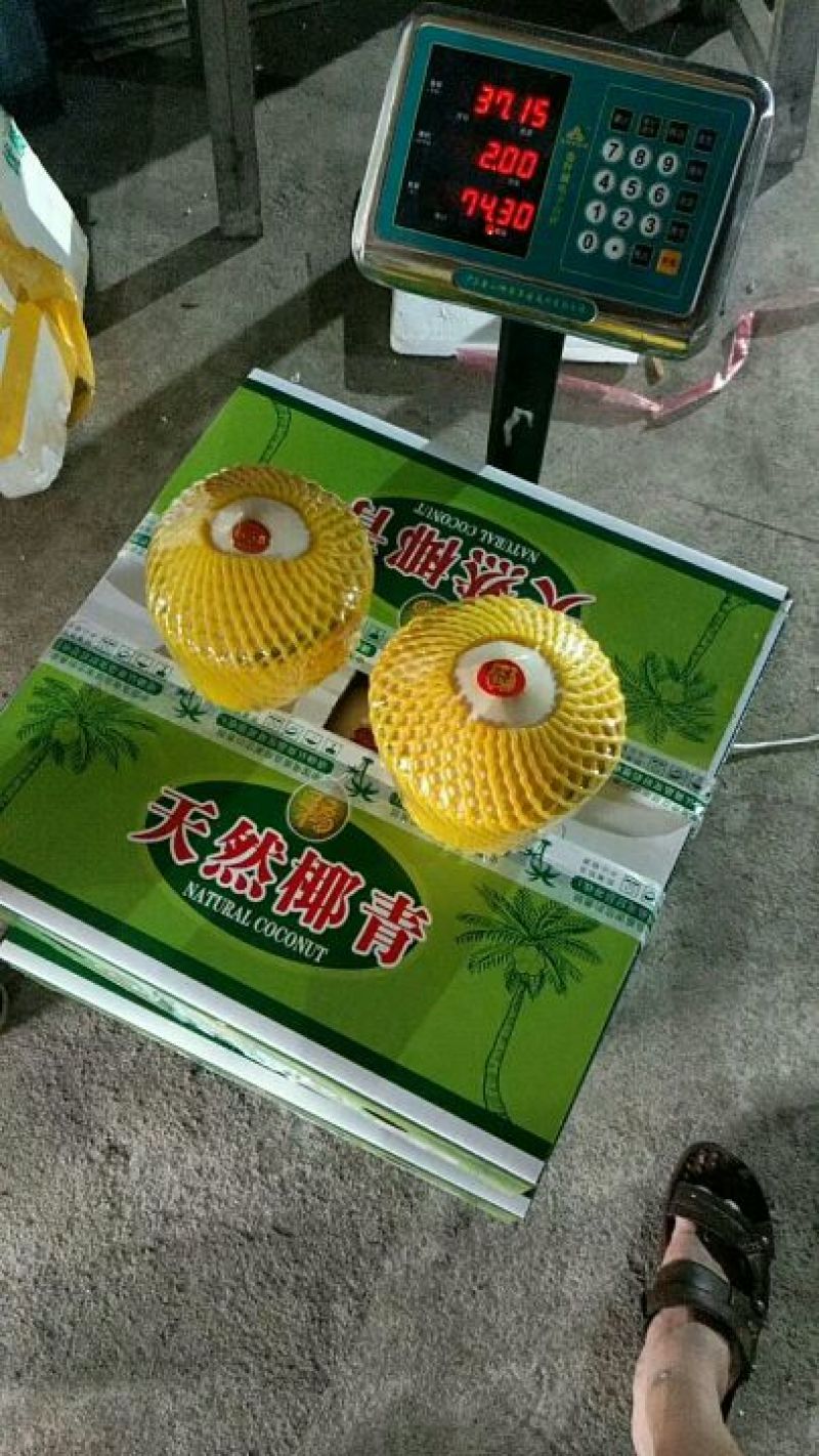 椰青2.5~3斤