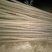 基地直销刺槐1米以下6~8cm4~6cm