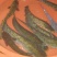 鲶鱼食用