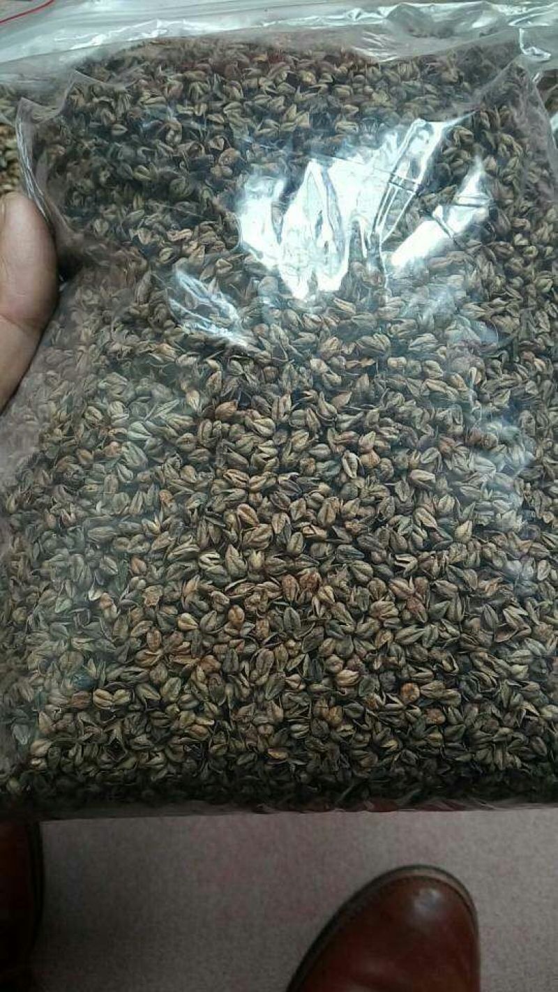 苦荞麦皮，可做枕头，沙发填充物