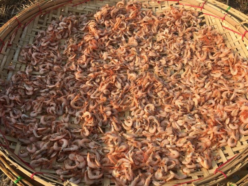 虾干一级
