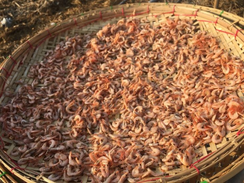 虾干一级