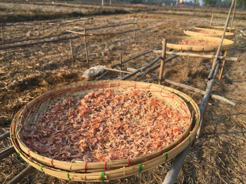虾干一级