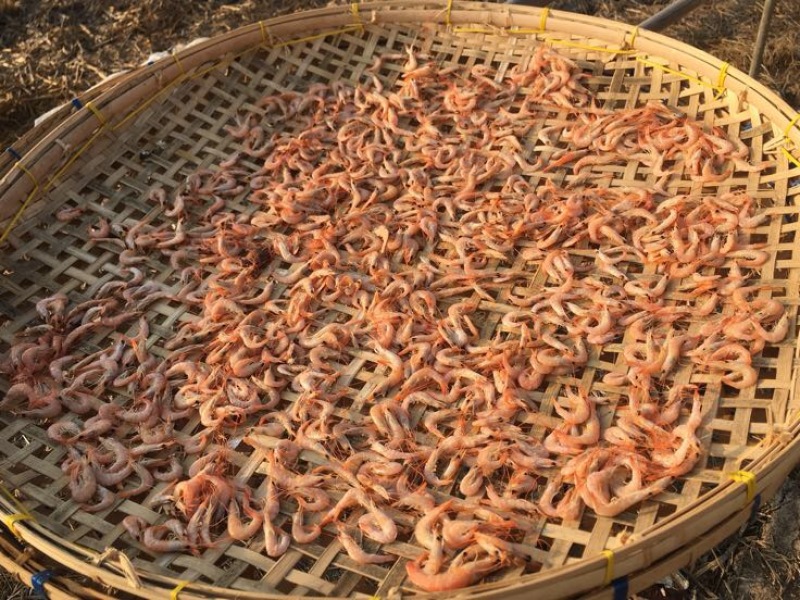 虾干一级