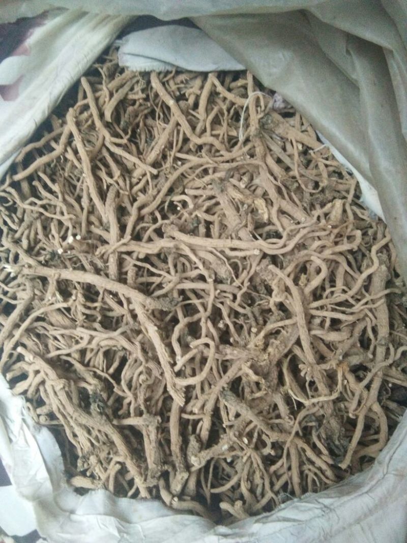 板蓝根统个