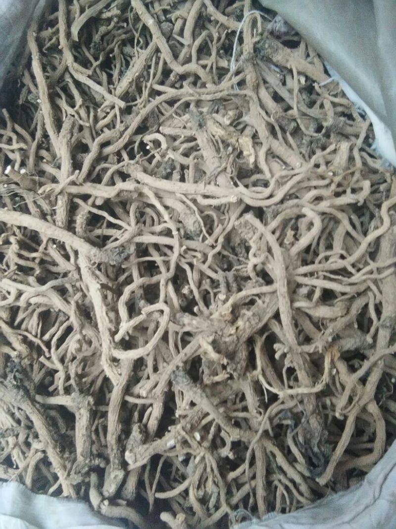 板蓝根统个