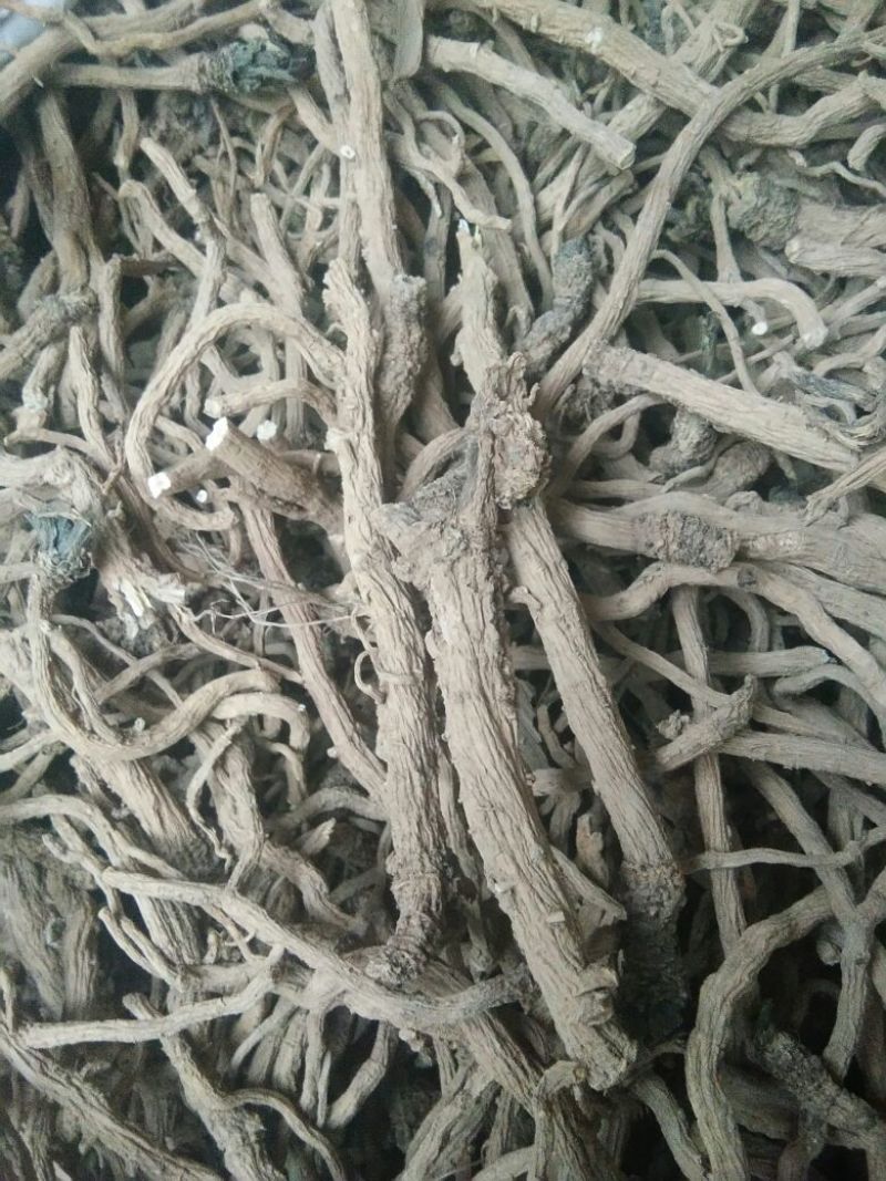 板蓝根统个