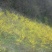 连翘树1.2cm100~150cm