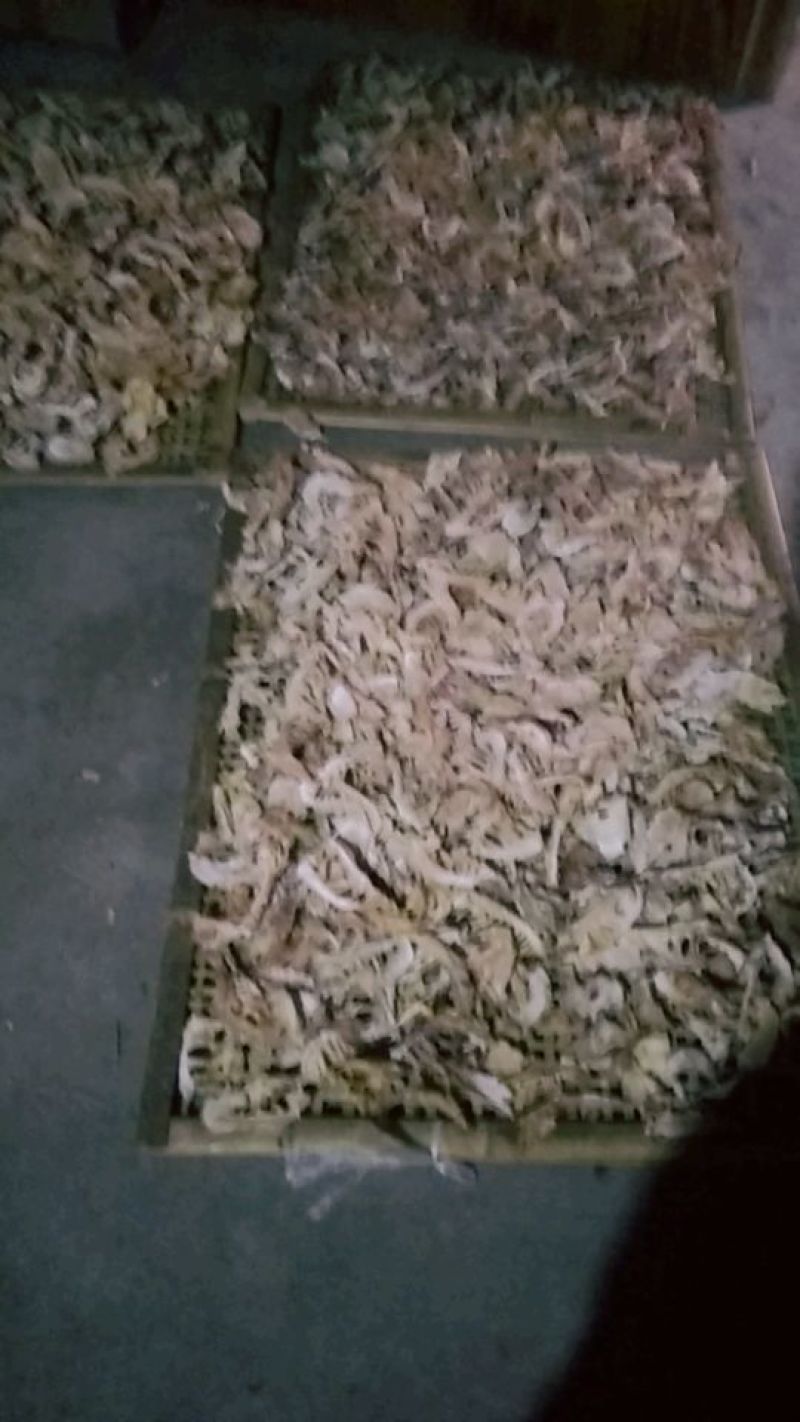 笋干淡笋干