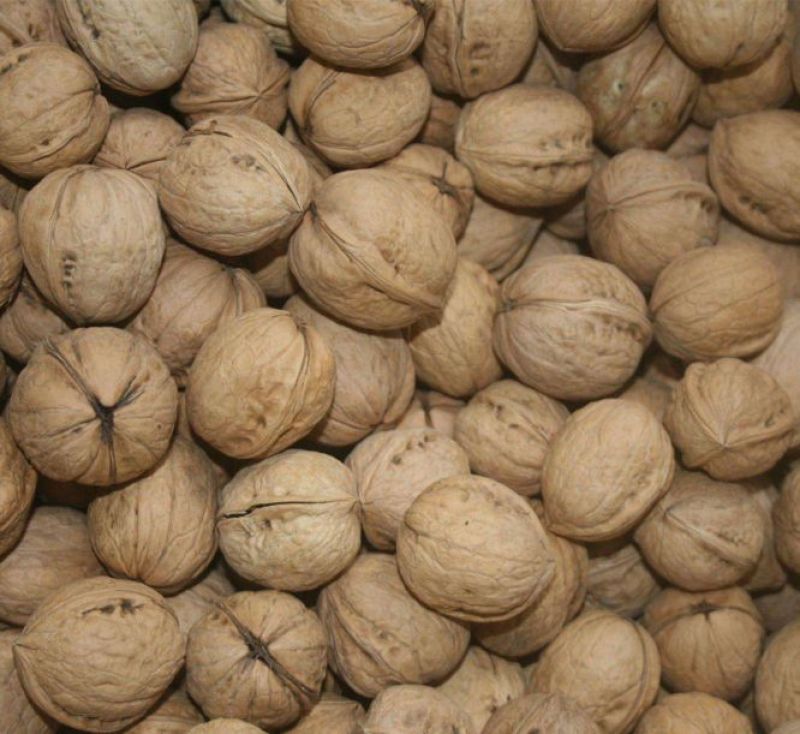 纸皮核桃去皮30~35mm干