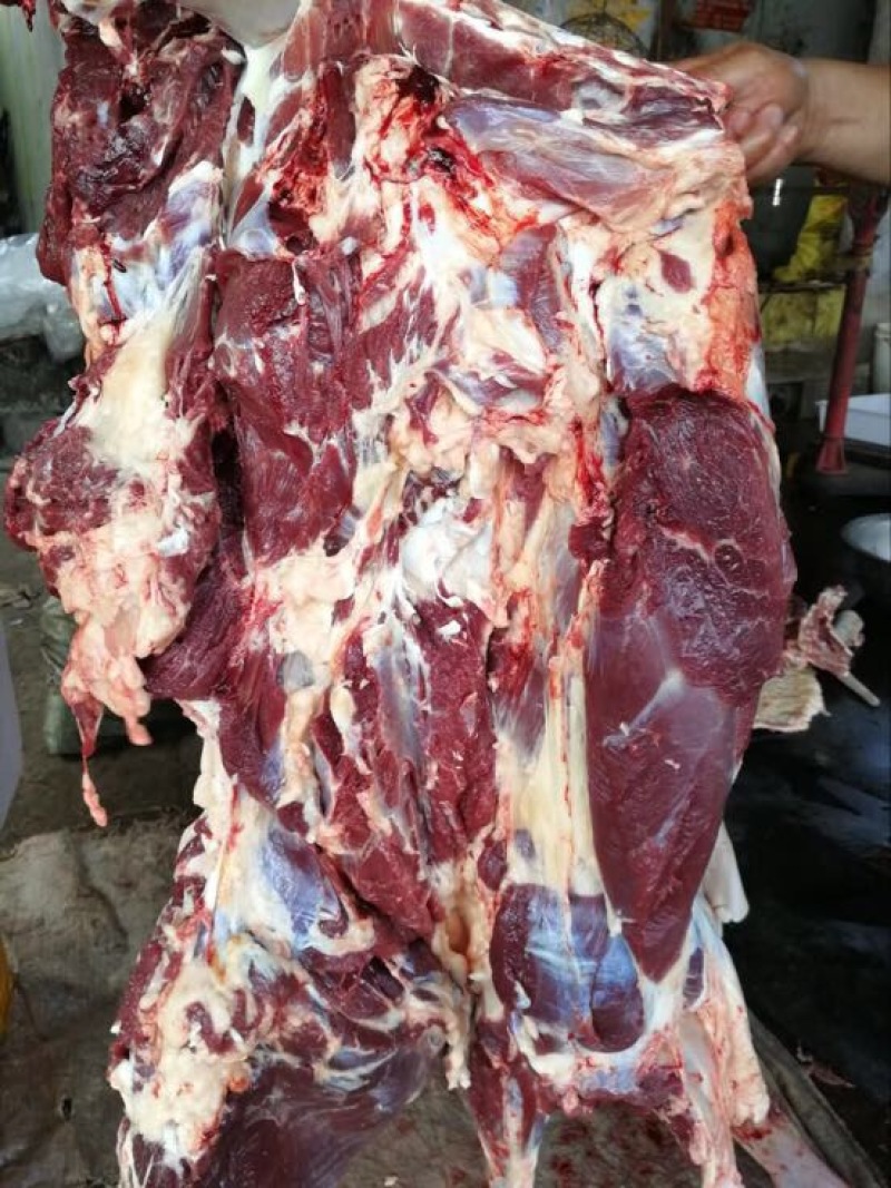 驴肉鲜货