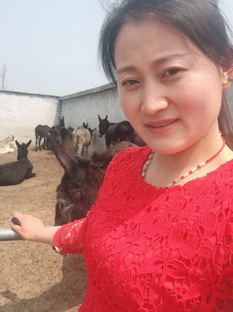 驴肉鲜货
