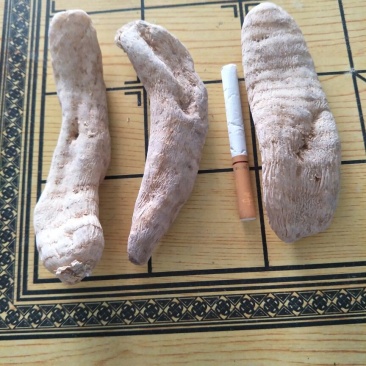 天麻一级