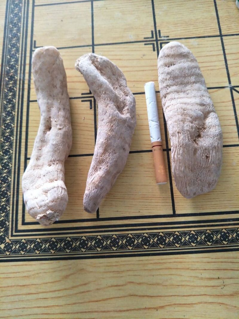 天麻一级