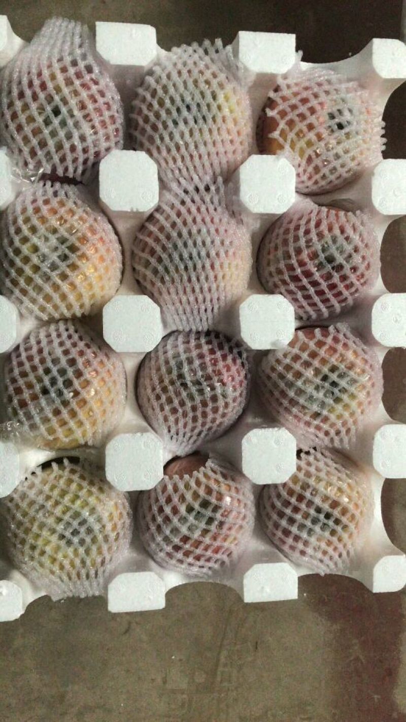 苹果80mm以上膜袋
