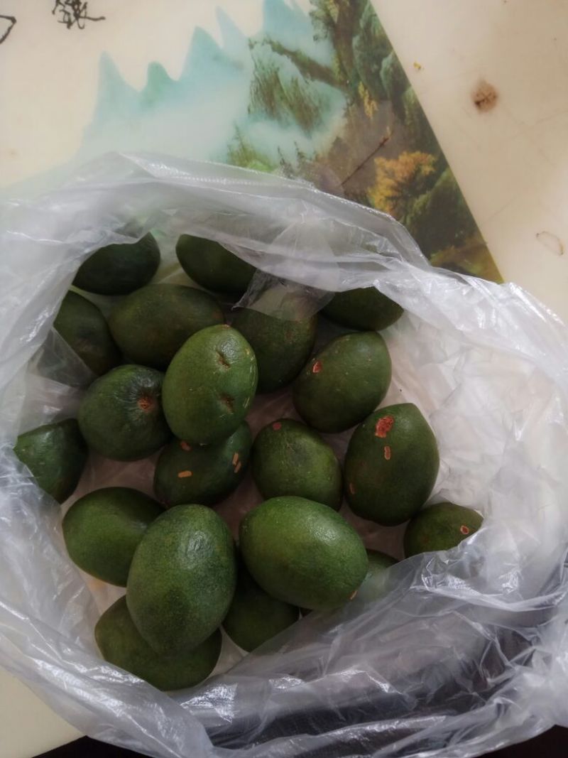 嘎喱罗