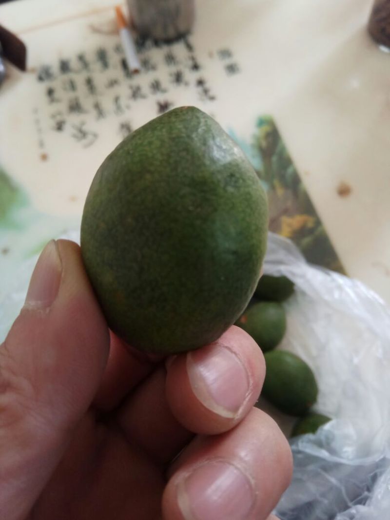 嘎喱罗