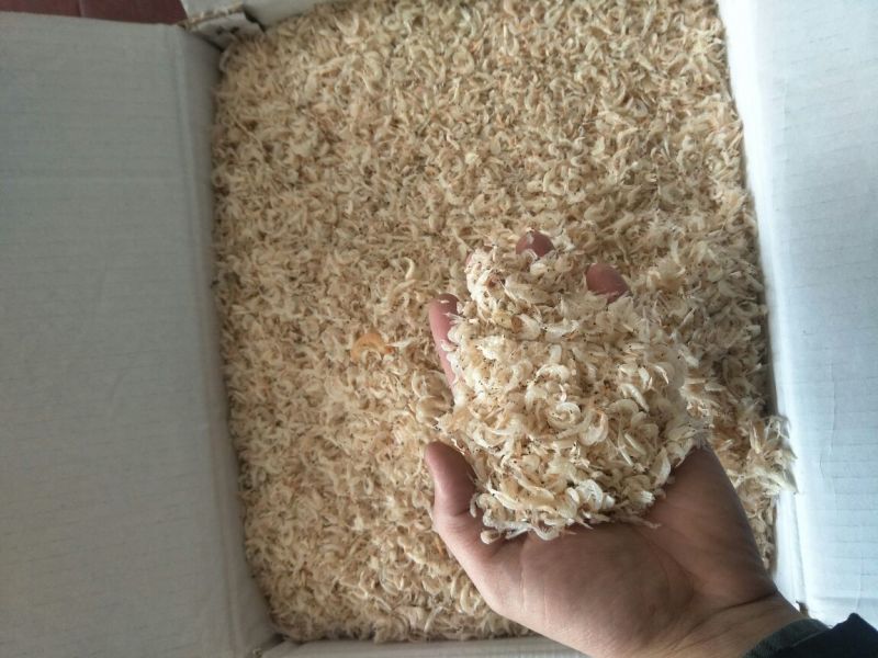 虾皮特级