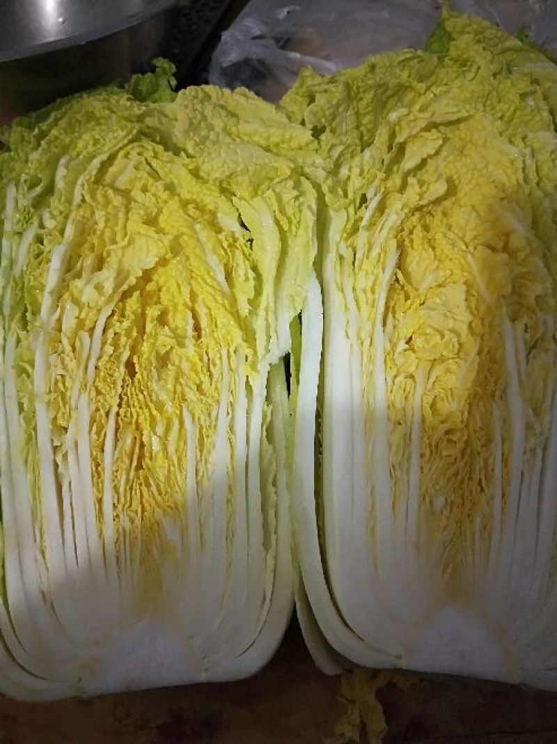 黄心白菜7斤以上净菜