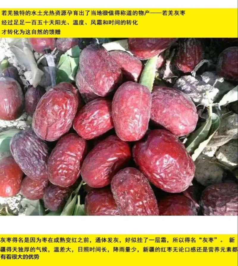 灰枣干枣一级3cm以上