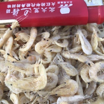虾皮一级