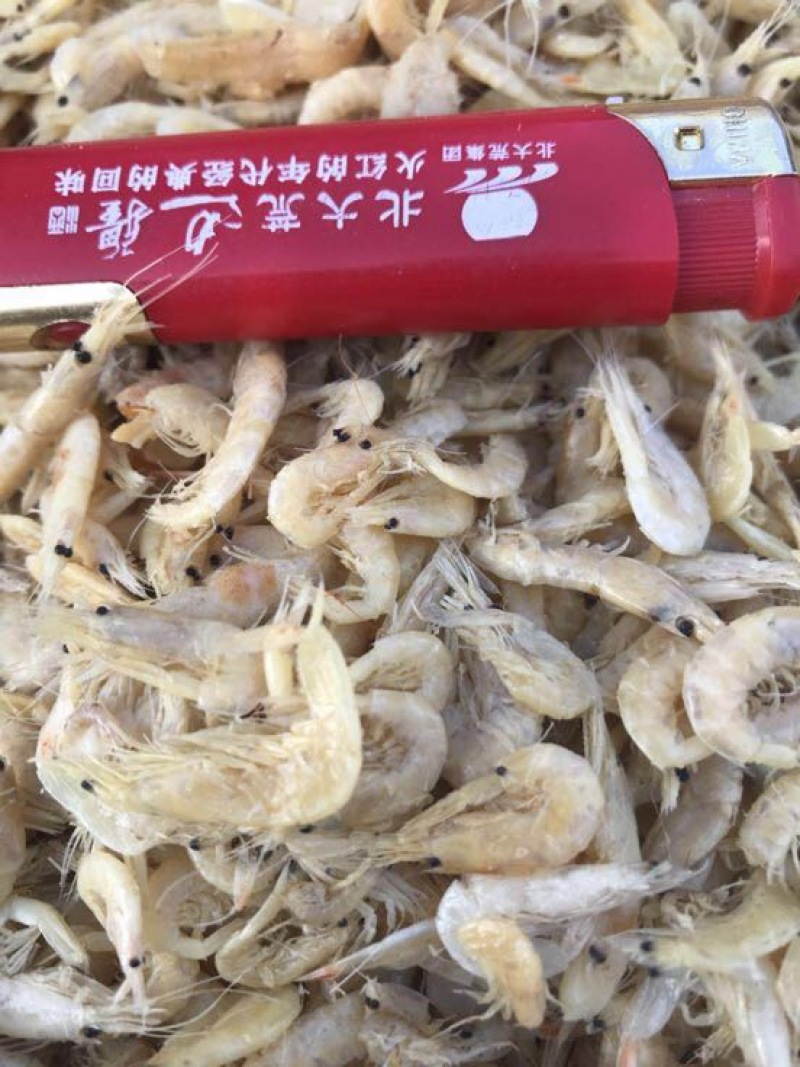 虾皮一级