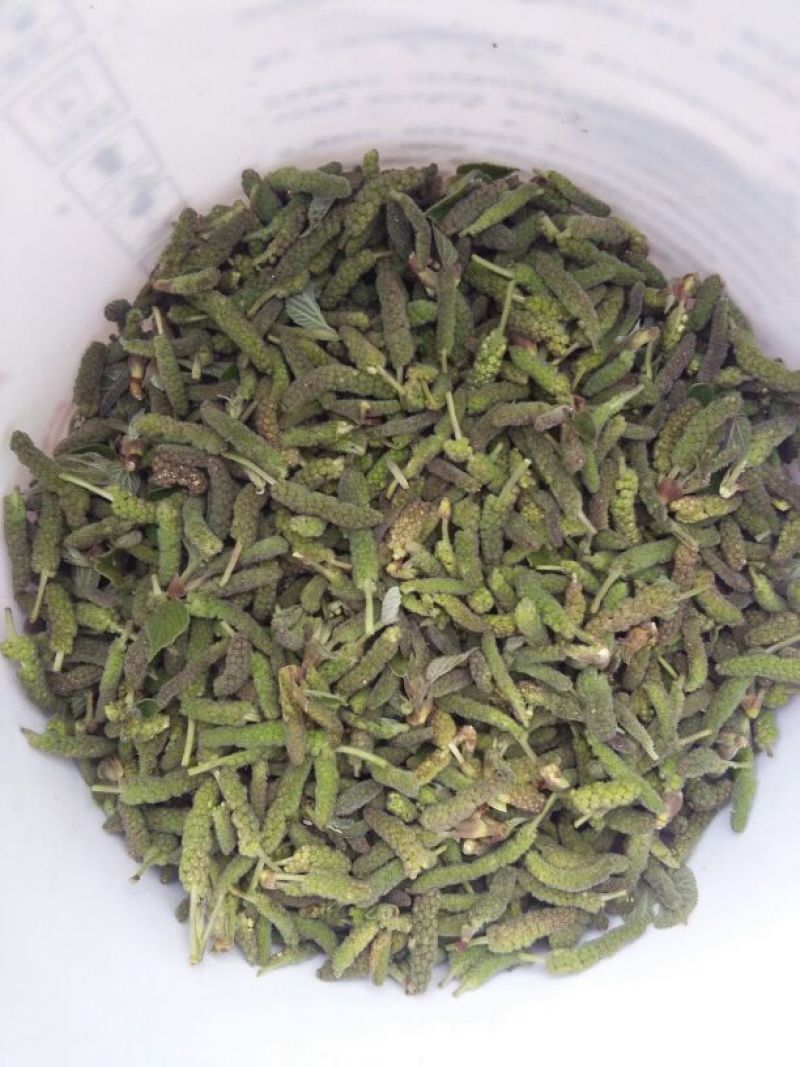 构棒穗构不素构棒穗