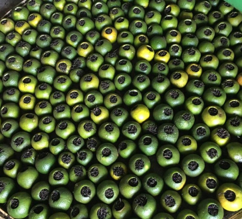 一件代发柑普茶小青柑陈皮普洱茶250克罐包邮