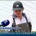 吉富罗非鱼苗8朝